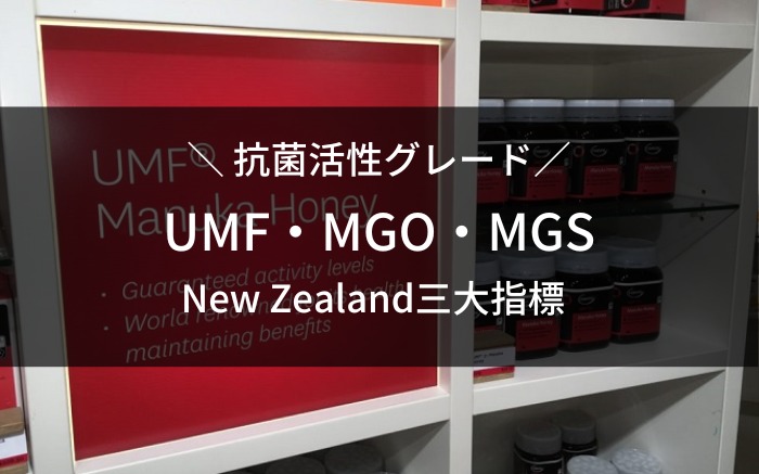UMFとMGOの違い